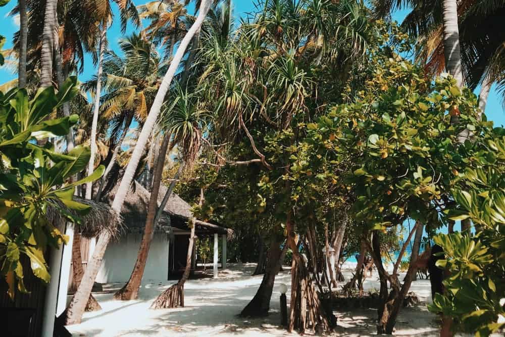 Das Angaga Island Resort auf den Malediven bietet ein ruhiges und malerisches Stranderlebnis direkt vor Ihrer Haustür. Genießen Sie sonnenverwöhnte Tage und entspannende Spaziergänge entlang der unberührten Küste