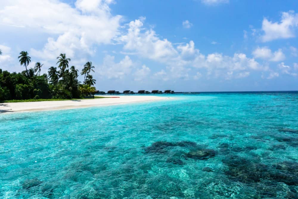 Park Hyatt Maldives Hadahaa ist ein atemberaubendes Resort an einem unberührten weißen Sandstrand, umgeben von üppigen Bäumen und kristallklarem Wasser.