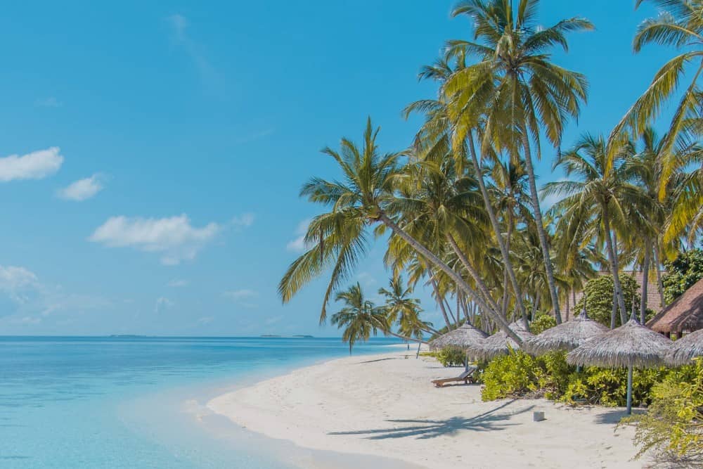 Thelu Veliga, ein Strand auf den Malediven, geschmückt mit Palmen und strohgedeckten Hütten.