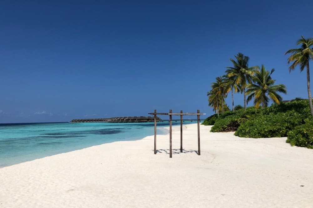 Die Privatinsel Kudadoo bietet einen atemberaubenden weißen Sandstrand mit anmutigen Palmen auf den idyllischen Malediven.