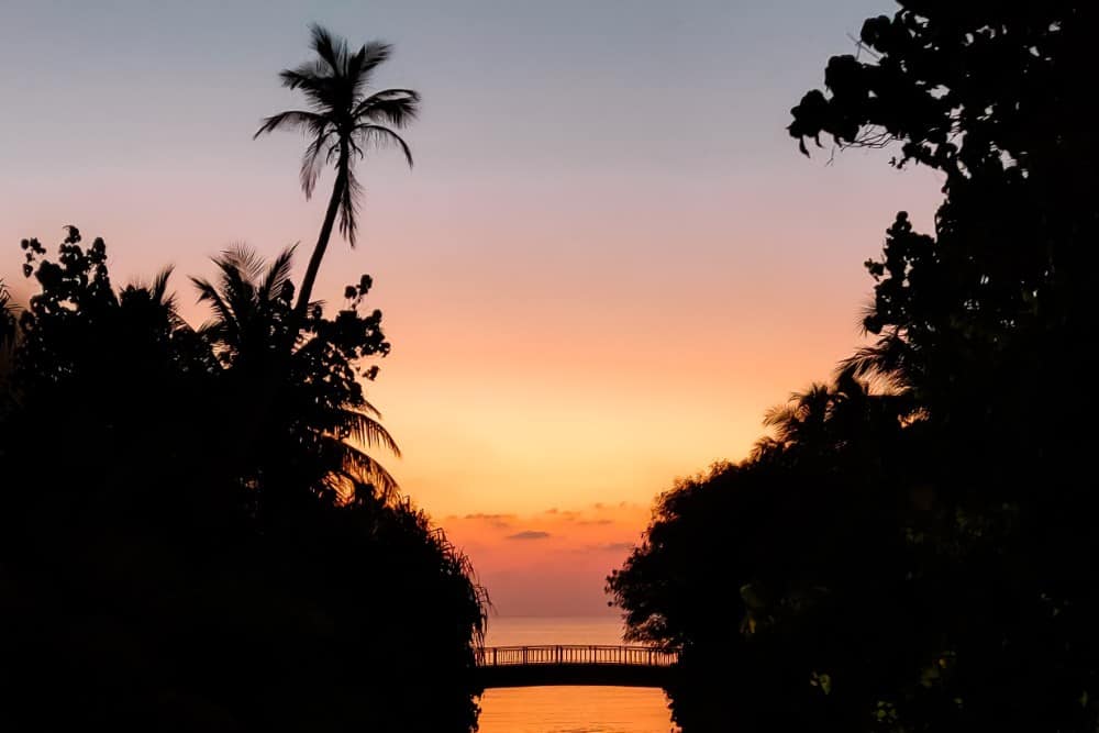 Ein Sonnenuntergang über einem Gewässer mit Palmen im Hintergrund im One & Only Reethi Rah.